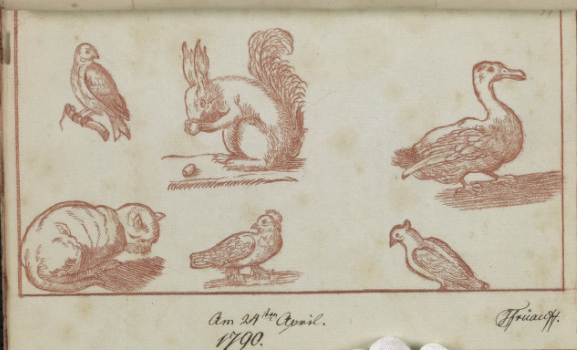 Illustrations of a squirrel, birds, and a cat from 1790
